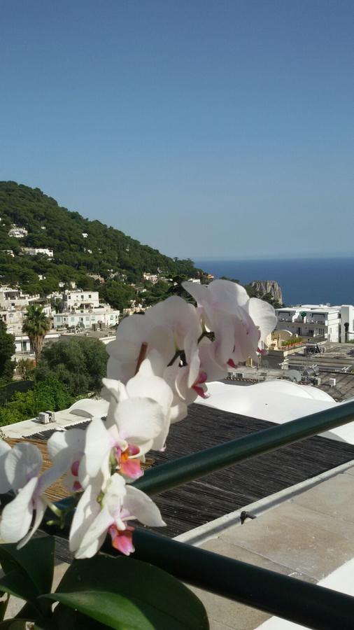 Hotel Casa Costanza Capri Exteriér fotografie